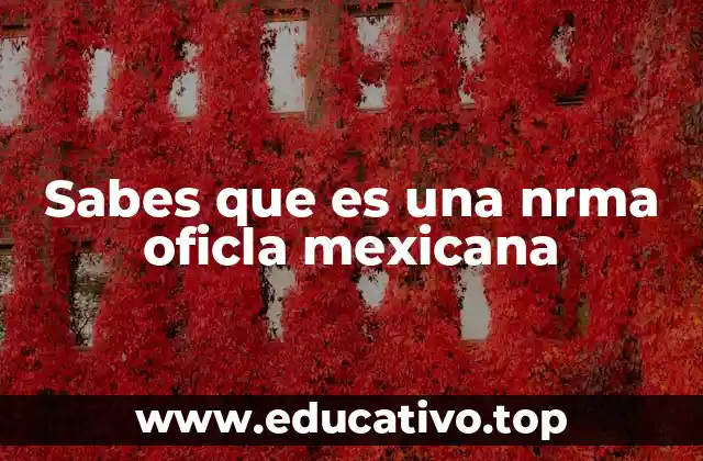 Sabes que es una nrma oficla mexicana