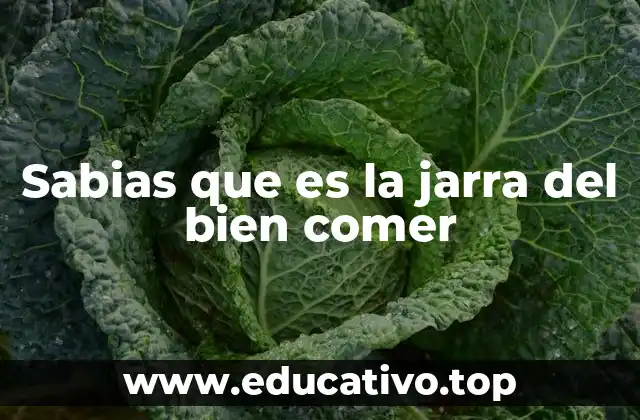 Sabias que es la jarra del bien comer