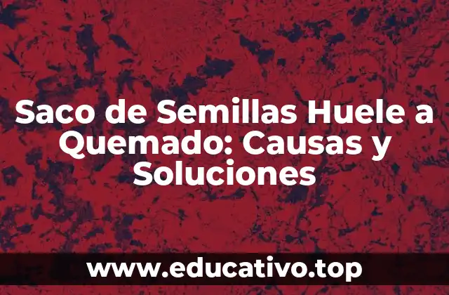Saco de Semillas Huele a Quemado: Causas y Soluciones