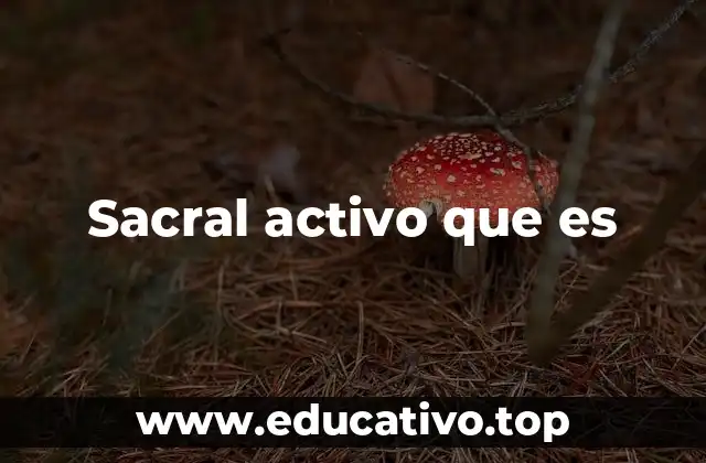 Sacral activo que es