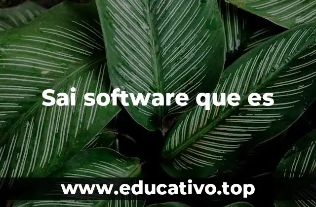Sai software que es