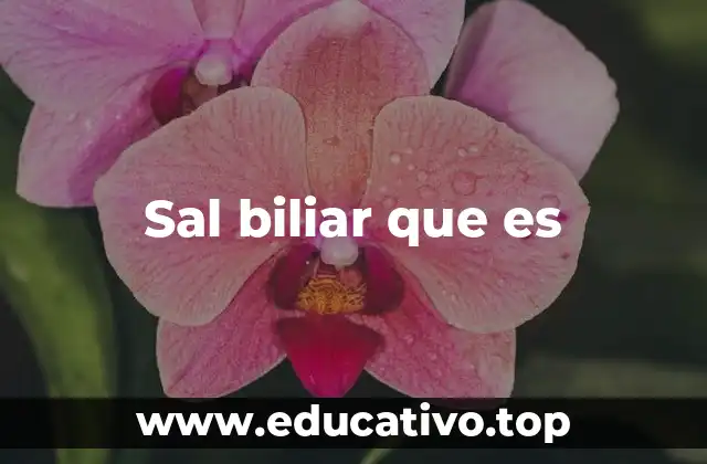 Sal biliar que es