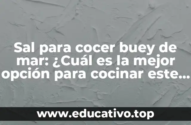Sal para cocer buey de mar: ¿Cuál es la mejor opción para cocinar este manjar?