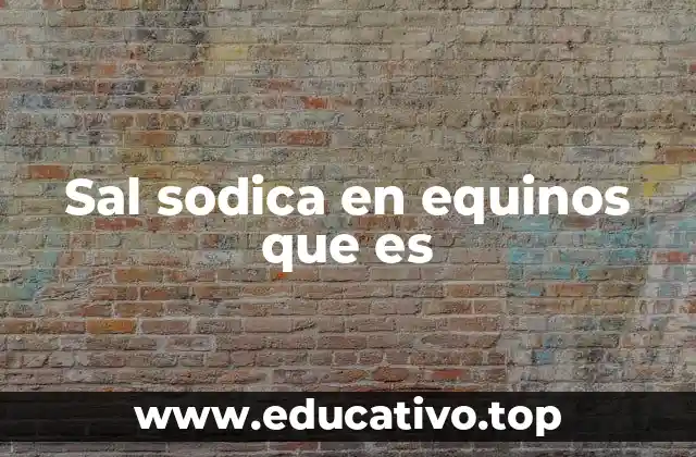 Sal sodica en equinos que es