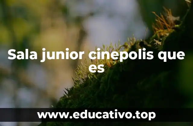 Sala junior cinepolis que es