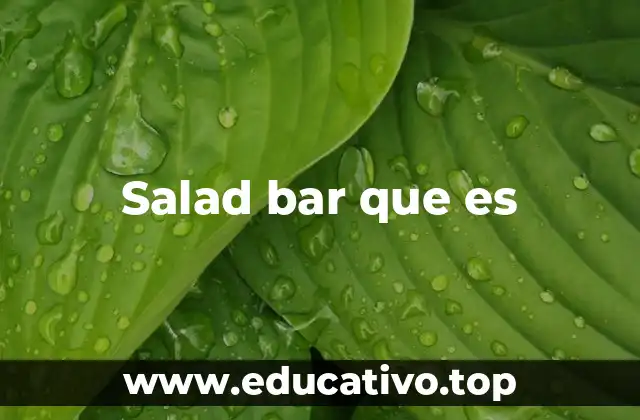 Salad bar que es