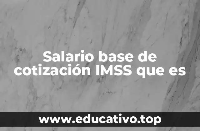 Salario base de cotización IMSS que es