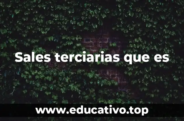 Sales terciarias que es