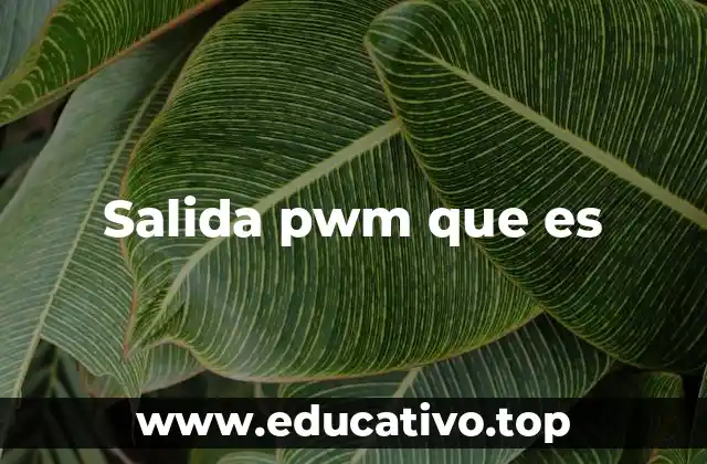 Salida pwm que es