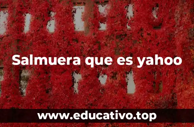 El mundo de las soluciones salinas y los servicios digitales