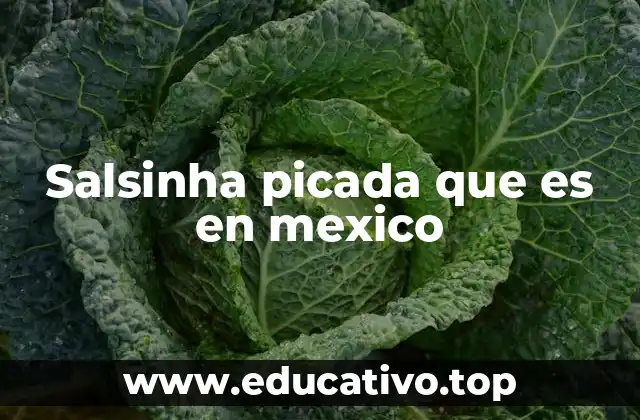 Salsinha picada que es en mexico