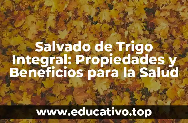 Salvado de Trigo Integral: Propiedades y Beneficios para la Salud