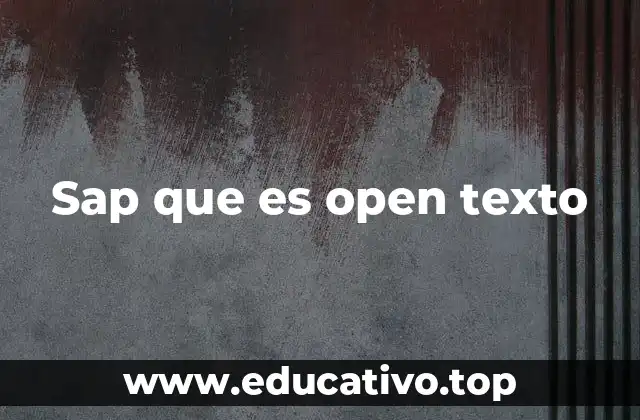Sap que es open texto
