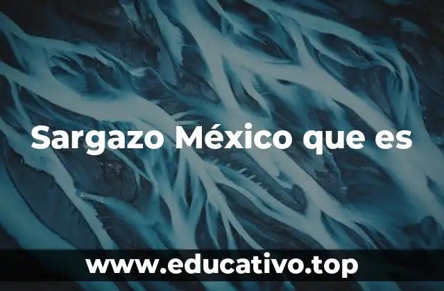 Sargazo México que es