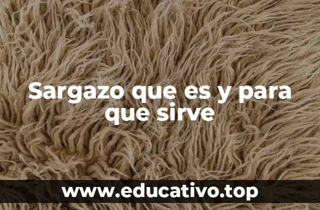 Sargazo que es y para que sirve