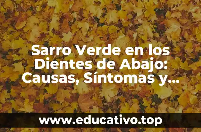 Sarro Verde en los Dientes de Abajo: Causas, Síntomas y Tratamiento