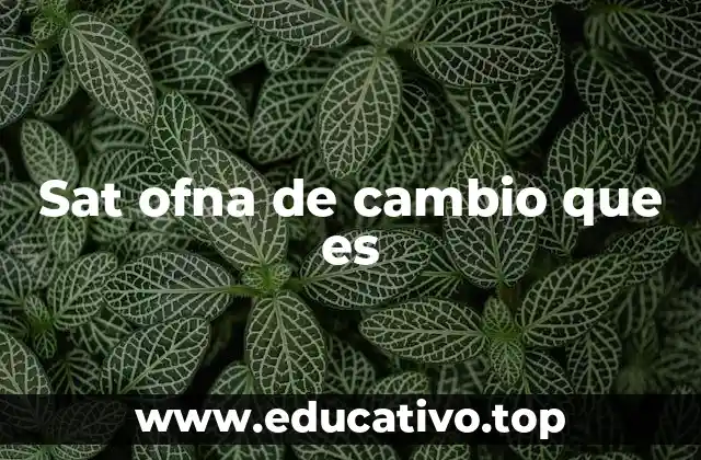 Sat ofna de cambio que es