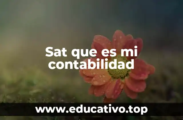 Sat que es mi contabilidad