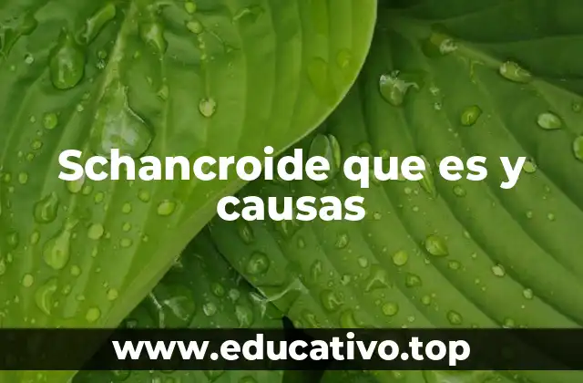 Schancroide que es y causas