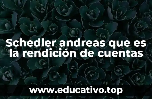 Schedler andreas que es la rendición de cuentas