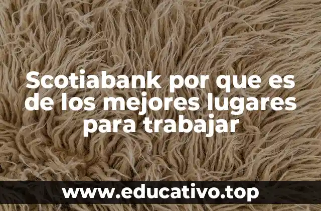 Scotiabank por que es de los mejores lugares para trabajar