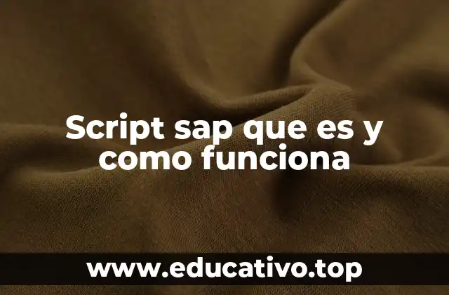 Script sap que es y como funciona