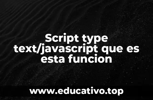 Script type text/javascript que es esta funcion