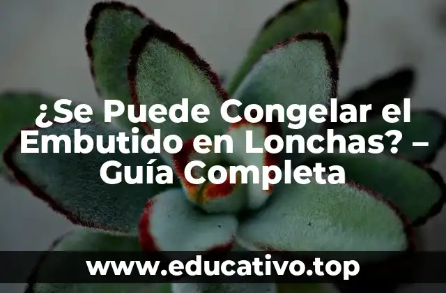 ¿Se Puede Congelar el Embutido en Lonchas? – Guía Completa