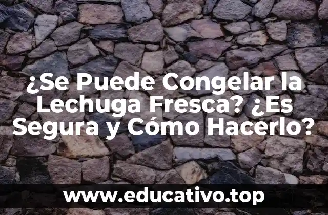 ¿Se Puede Congelar la Lechuga Fresca? ¿Es Segura y Cómo Hacerlo?