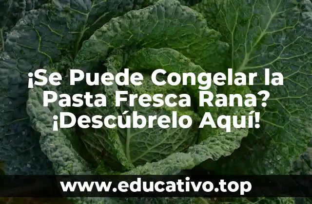 ¡Se Puede Congelar la Pasta Fresca Rana? ¡Descúbrelo Aquí!