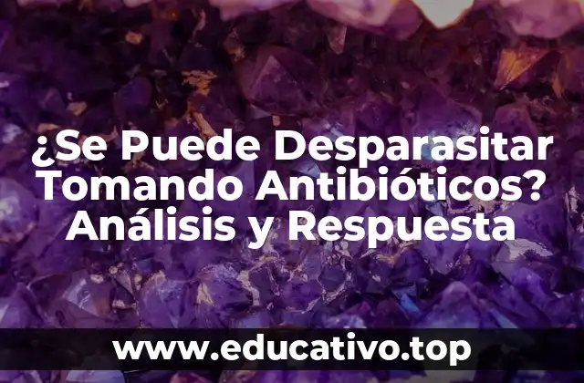 ¿Se Puede Desparasitar Tomando Antibióticos? Análisis y Respuesta