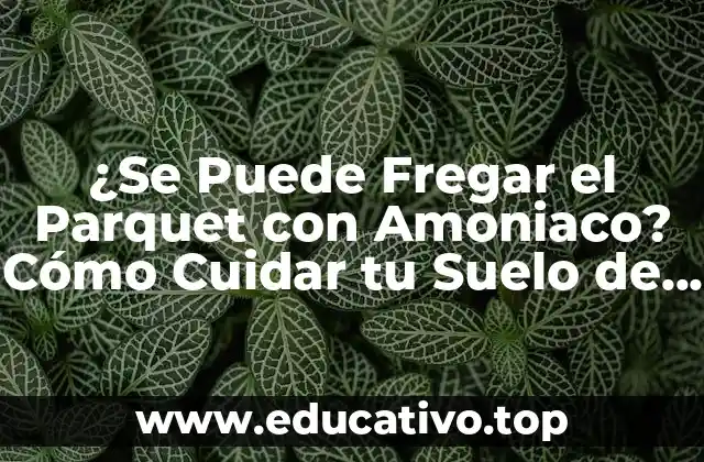 ¿Se Puede Fregar el Parquet con Amoniaco? Cómo Cuidar tu Suelo de Madera