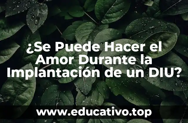 ¿Se Puede Hacer el Amor Durante la Implantación de un DIU?