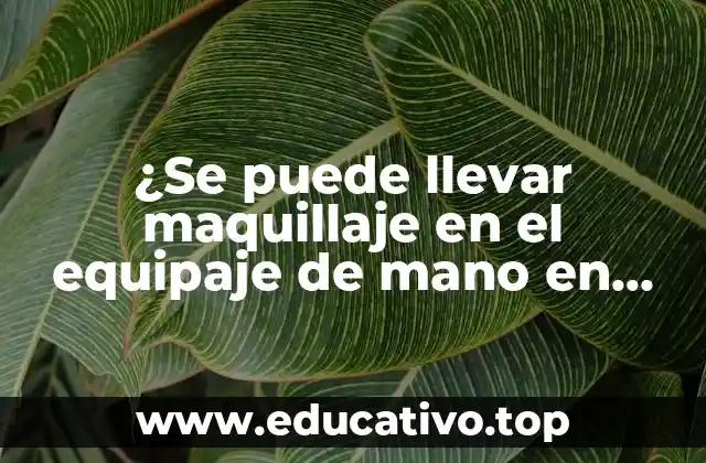 ¿Se puede llevar maquillaje en el equipaje de mano en vuelos?