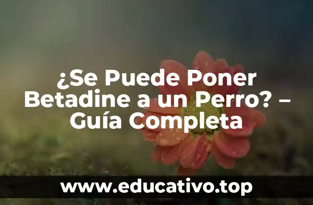 ¿Se Puede Poner Betadine a un Perro? – Guía Completa