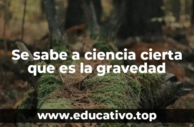 Se sabe a ciencia cierta que es la gravedad