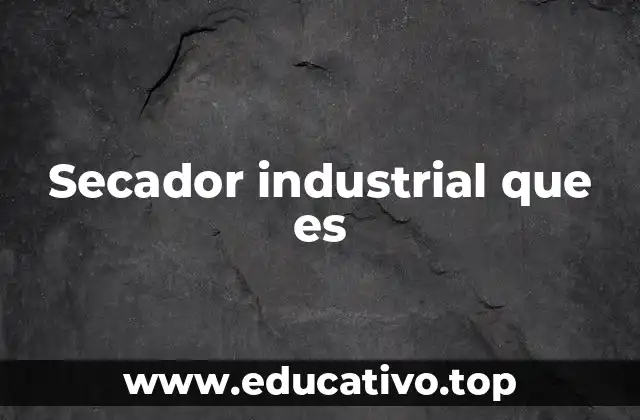 Secador industrial que es