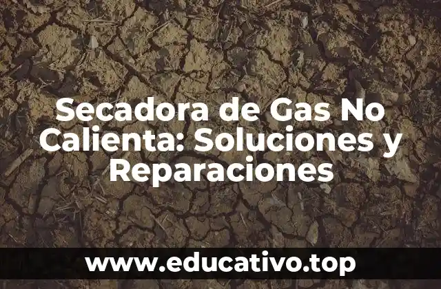 Secadora de Gas No Calienta: Soluciones y Reparaciones