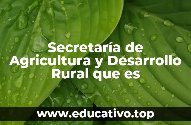 Secretaría de Agricultura y Desarrollo Rural que es