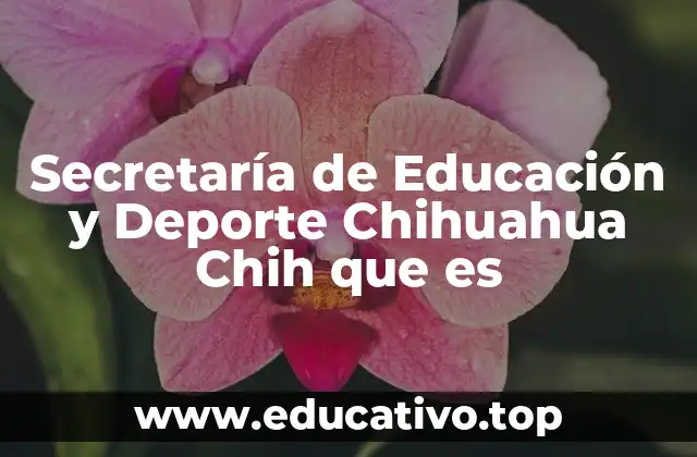 Secretaría de Educación y Deporte Chihuahua Chih que es