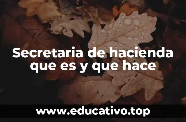 Secretaria de hacienda que es y que hace