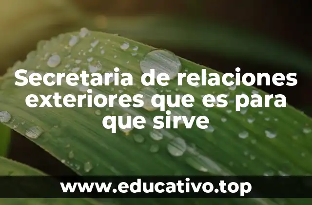 Secretaria de relaciones exteriores que es para que sirve