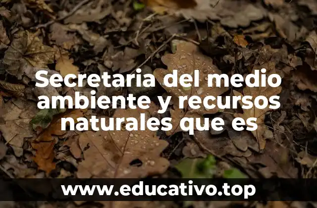 Secretaria del medio ambiente y recursos naturales que es