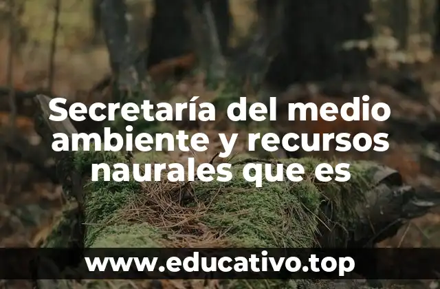 Secretaría del medio ambiente y recursos naurales que es