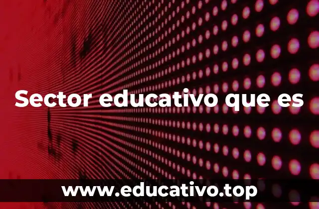 El papel del sector educativo en el desarrollo económico y social