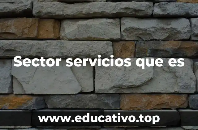 Sector servicios que es