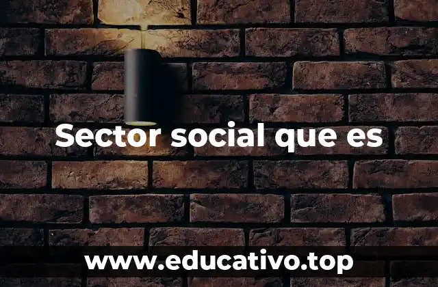 Sector social que es