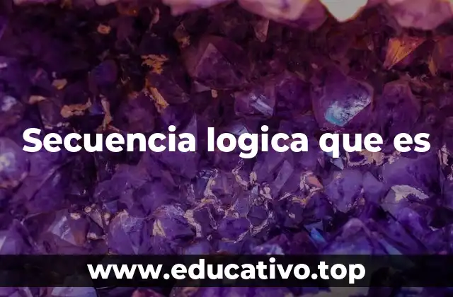 Secuencia logica que es