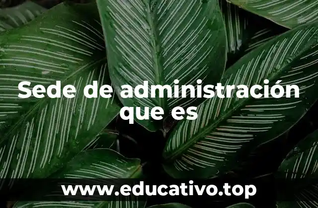 Sede de administración que es