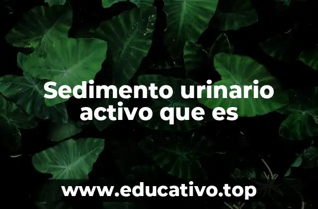 Sedimento urinario activo que es